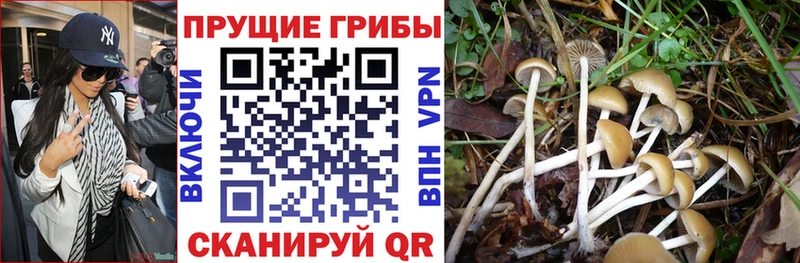 Псилоцибиновые грибы Magic Shrooms Тавда